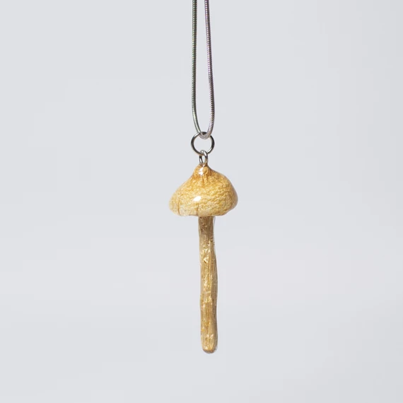 Gomba nyaklánc (Lepiota sp.)