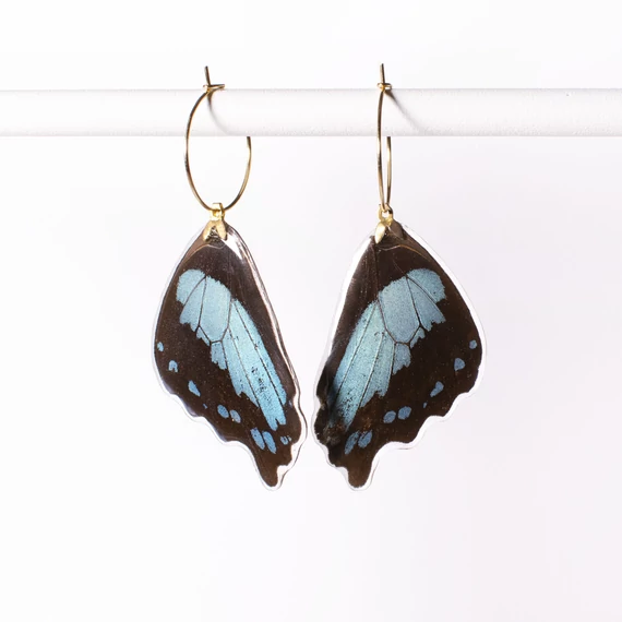 Lepke fülbevaló (Papilio bromius)