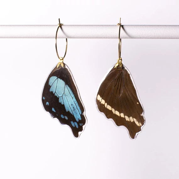 Lepke fülbevaló (Papilio bromius)