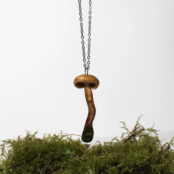 Gomba nyaklánc (Laccaria laccata)