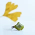 Kép 1/2 - Ginkgo gyűrű